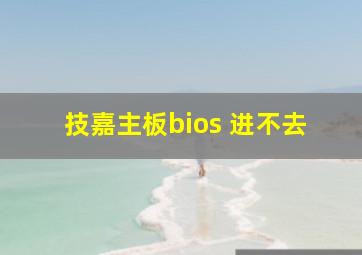 技嘉主板bios 进不去